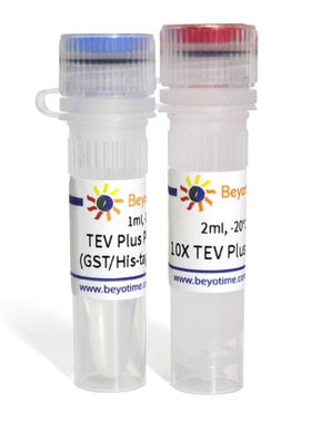 TEV Plus Protease (GST/His-tag) 碧云天生物 P2306S  P2306M
