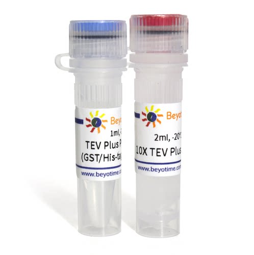TEV Plus Protease (GST/His-tag) 碧云天生物 P2306S  P2306M