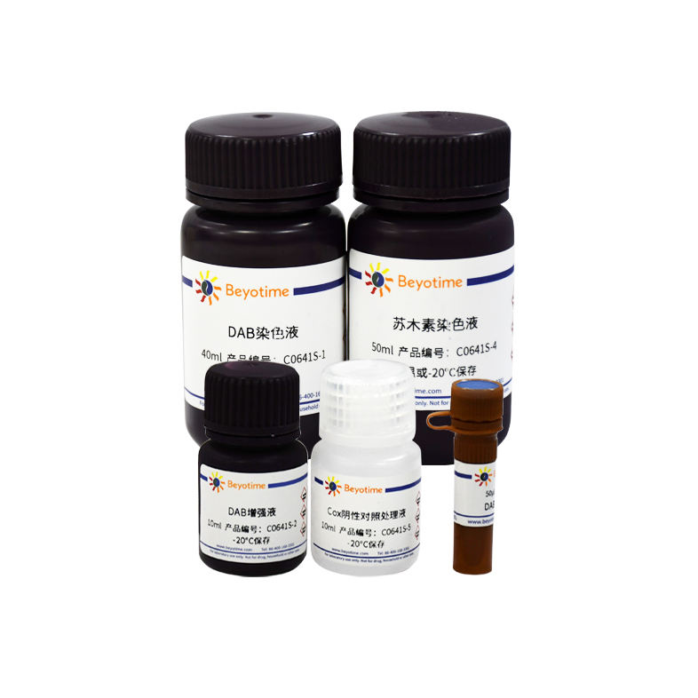 细胞色素C氧化酶染色试剂盒(DAB法) C0641S 碧云天
