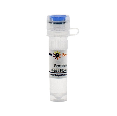 Protein A Agarose (Fast Flow, 抗体纯化用)