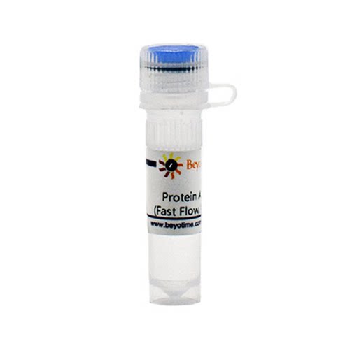Protein A Agarose (Fast Flow, 抗体纯化用)