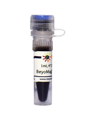 BeyoMag™ Protein G磁珠  P2105 碧云天生物