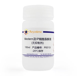 Western及IP细胞裂解液(无抑制剂)，碧云天 P0013J
