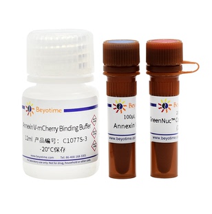 活细胞Caspase-3活性与Annexin V细胞凋亡检测试剂盒 C1077S