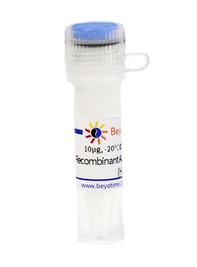 Recombinant Active Human BACE1 (His-Tag) P2520 碧云天生物