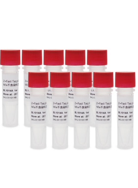 BL1014B 2×Fast Taq plus PCR Master Mix不含染料(适快速扩增)