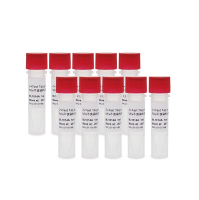 BL1014B 2×Fast Taq plus PCR Master Mix不含染料(适快速扩增)
