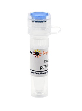 pCMV-C-His 碧云天D2650