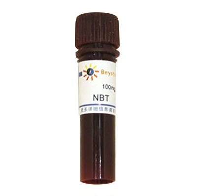 NBT  Nitrotetrazolium Blue chloride 碧云天 ST362