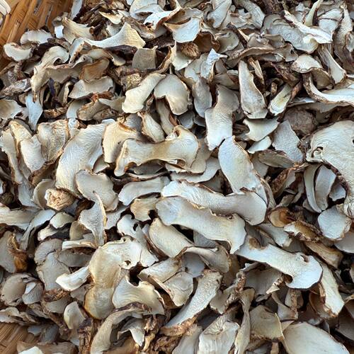 云南大山里赶集收山货-非种植正宗松茸童片