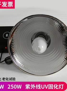 UV固化灯玻璃无影胶水紫外线灯泡125W250瓦大功率365nm高压汞灯