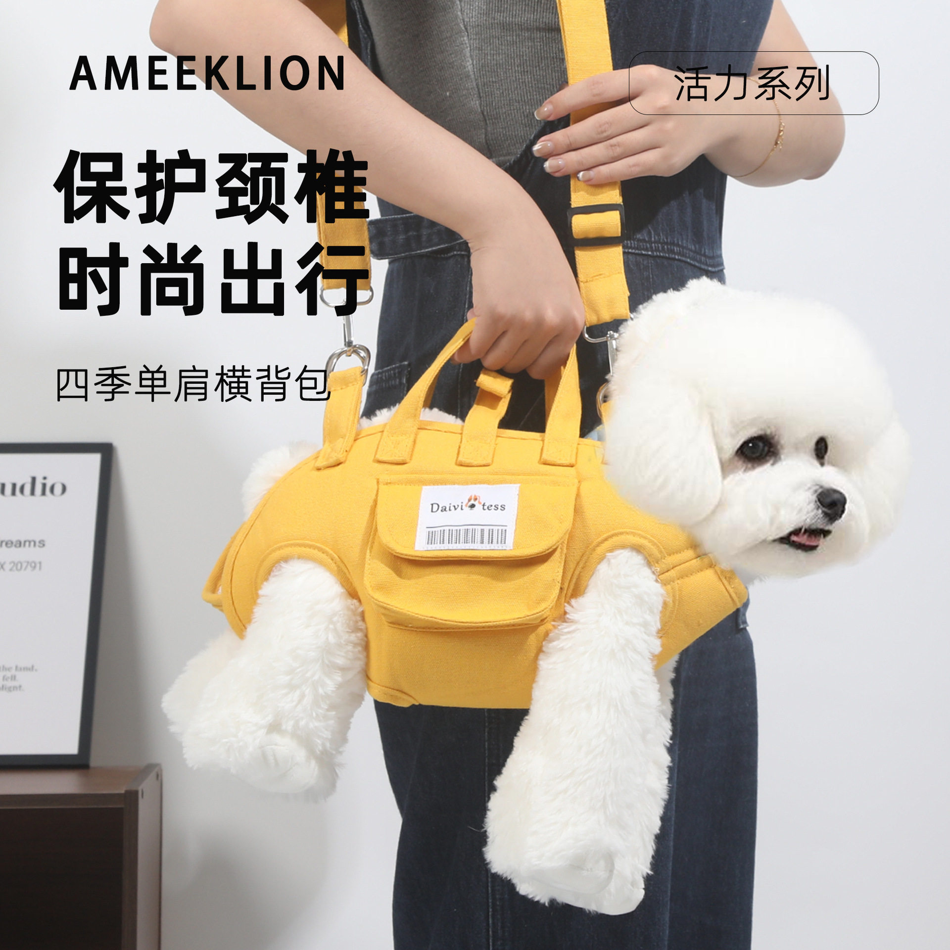 宠物外出便携轻便款牵引双肩