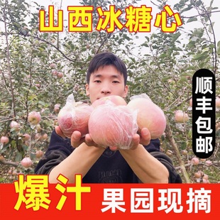 山西运城临猗冰糖心苹果丑苹果脆甜红富士当季 新鲜孕妇水果现摘