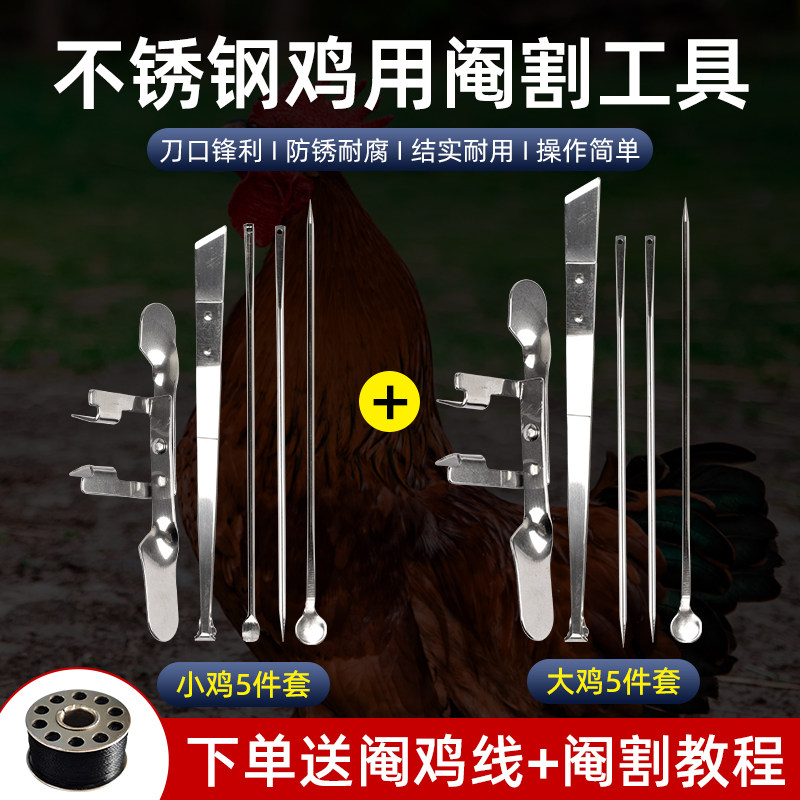安牧科不锈钢专业阉鸡工具全套阉鸡大鸡小鸡快速阉鸡器公鸡阉割刀,畜牧/养殖物资,畜牧/养殖器械,淘宝优惠券,粉丝福利购,淘宝优惠卷