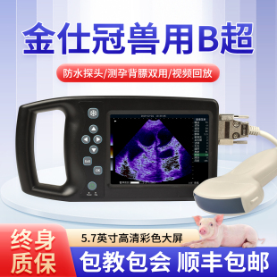 兽用B超机彩超母猪牛羊排卵孕检测定仪器犬检测怀孕b超便携彩色超