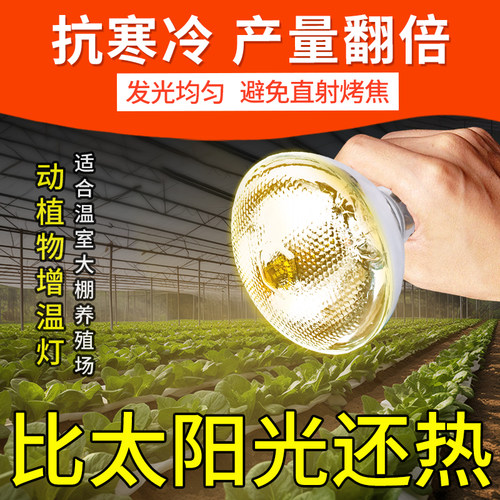 安牧科蔬菜大棚灯植物生长灯