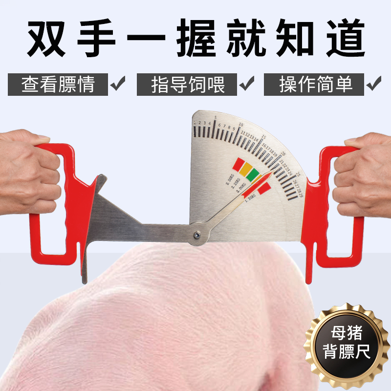 猪用饲喂卡尺不锈钢喂料管理尺猪用膘情测定指导器妊娠母猪背膘尺