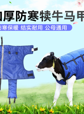 牛犊马甲小牛犊子衣服加绒加厚防