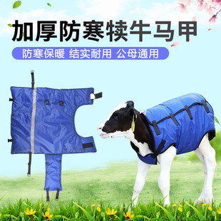 牛犊马甲小牛犊子衣服加绒加厚防寒过冬犊牛用品保暖保温马甲外套