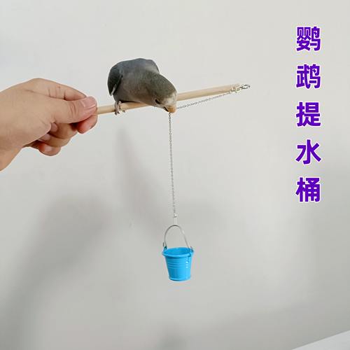 鹦鹉智力玩具训练道具提水桶