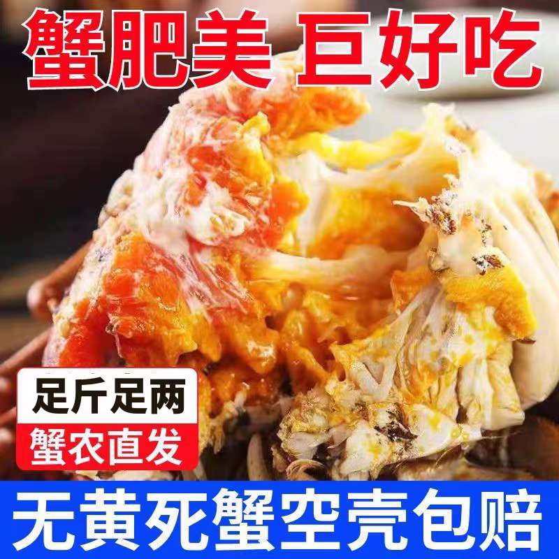大闸蟹缺脚蟹鲜活苏州蟹现货甄选全母蟹公母活蟹大螃蟹残蟹特惠