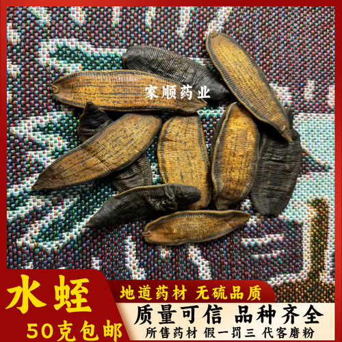 水蛭干中药材野生水蛭无硫蚂蟥大条宽体金线蚂蟥干水蛭粉100g包邮
