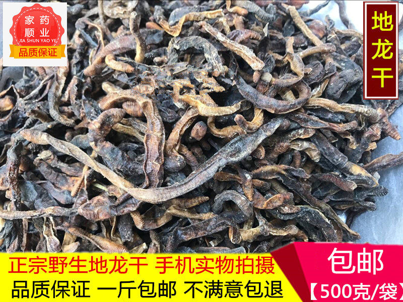 大蚯蚓黑蚯蚓青蚯蚓钓黄鳝诱饵臭
