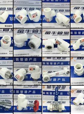 金牛管业4分20PPR冷热水管配件金牛角白色武汉热熔接头内丝弯头