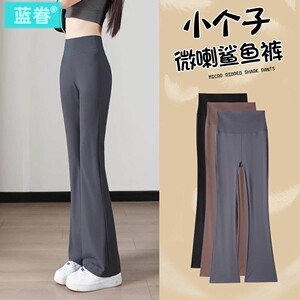 小个子微喇鲨鱼裤女外穿春秋薄款休闲运动高腰打底喇叭瑜伽裤加绒