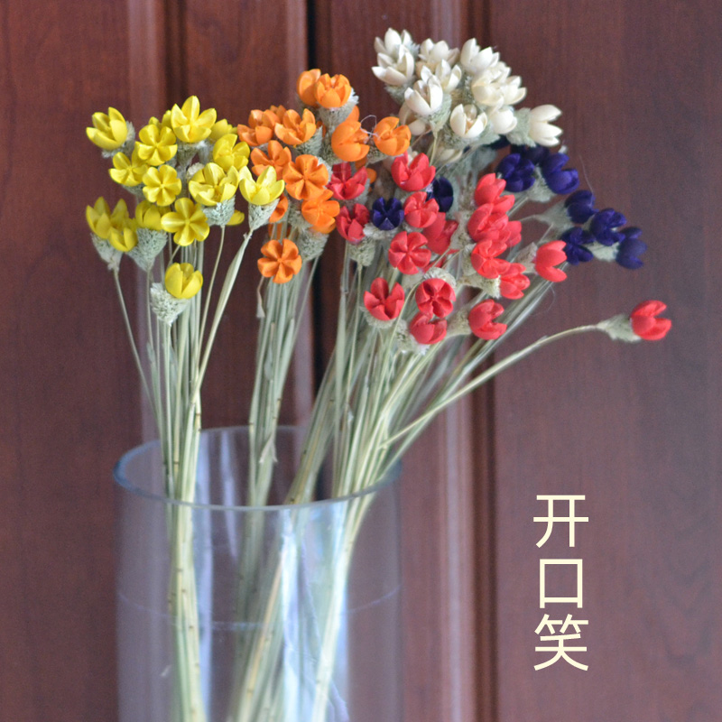 开心果干花包开口笑混搭花束紫薇手工花百搭客厅装饰摆饰田园摆件