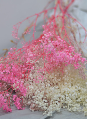 AA级粉色满天星干花包白色永生花长枝混搭客厅桌面装饰花浮游花材