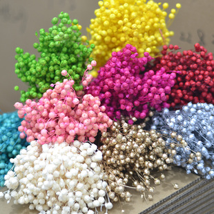 短枝相思豆干花包富贵豆永生花束客厅装饰插花摄影摆件礼品搭配材