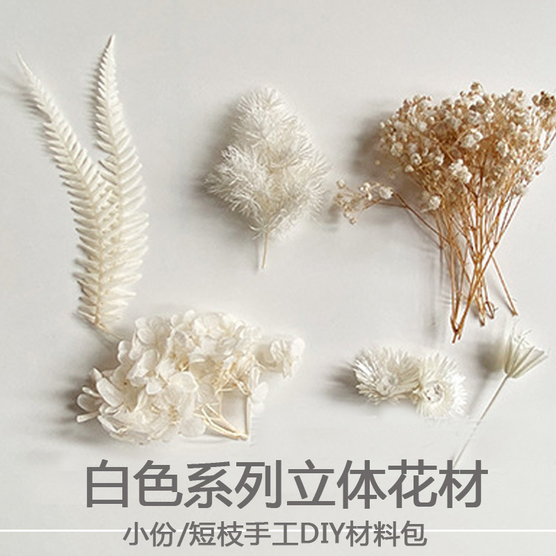 白色干花包满天星蓬莱松小雏菊苔藓绣球米花短枝永生花手工材料包-封面