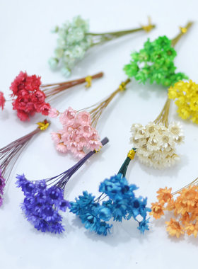 干花包短杆小星花星菊手工材料包
