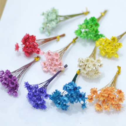 巴西星菊干花包短杆小星花花头小雏菊浮游花手工果冻口红花材料包