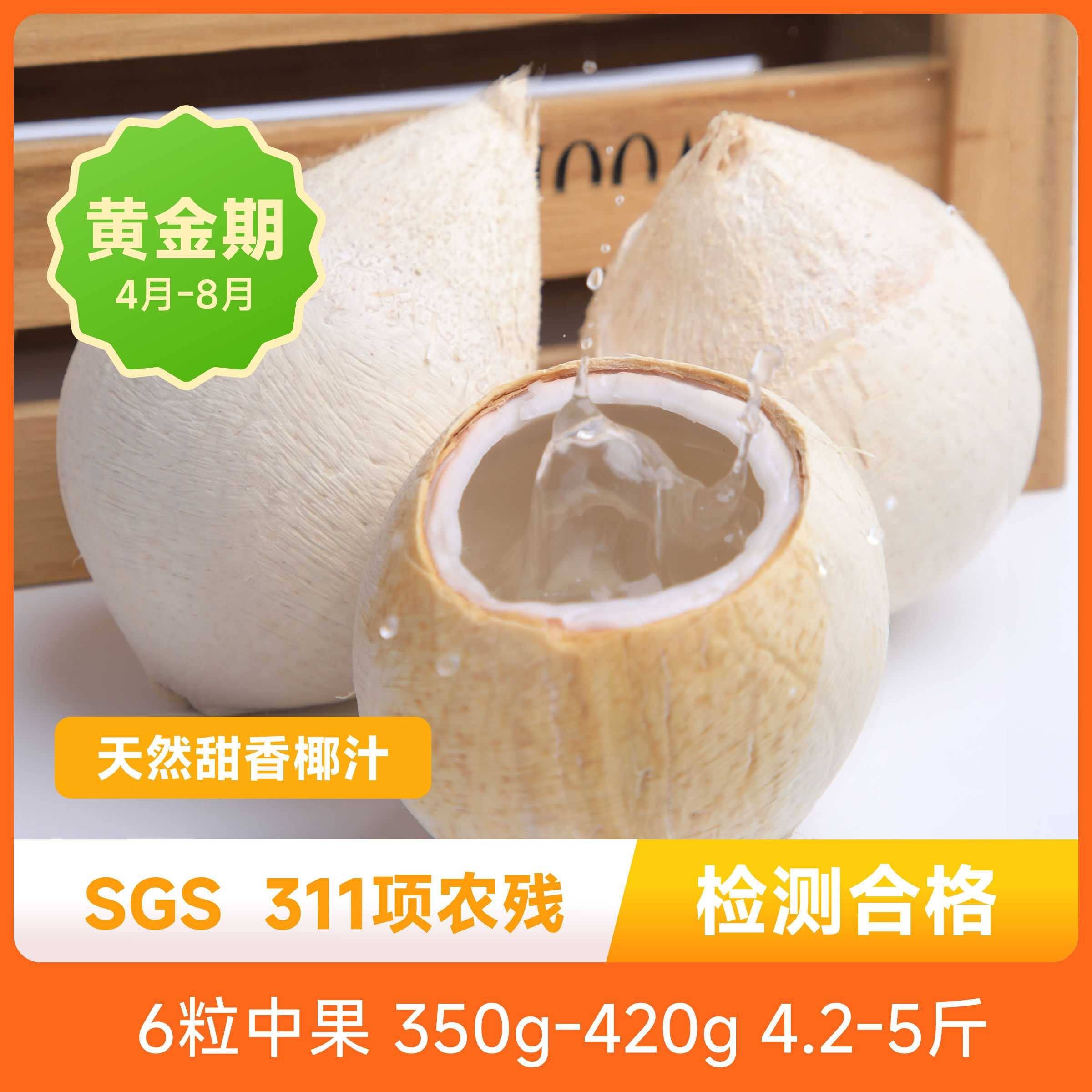泰国黑皮老椰皇现摘现发汁水多图片