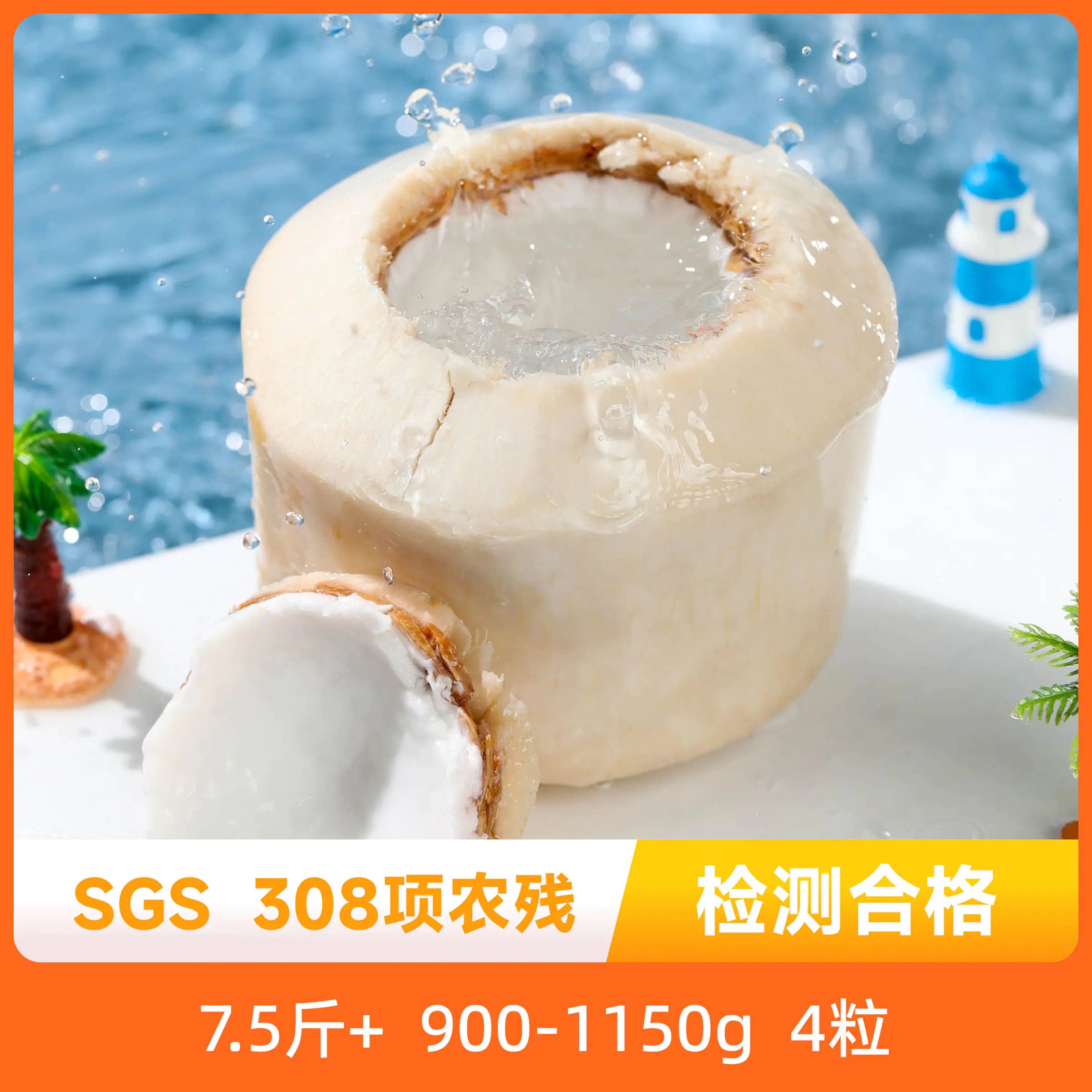 辰颐物语椰青椰子现摘现发正品图片