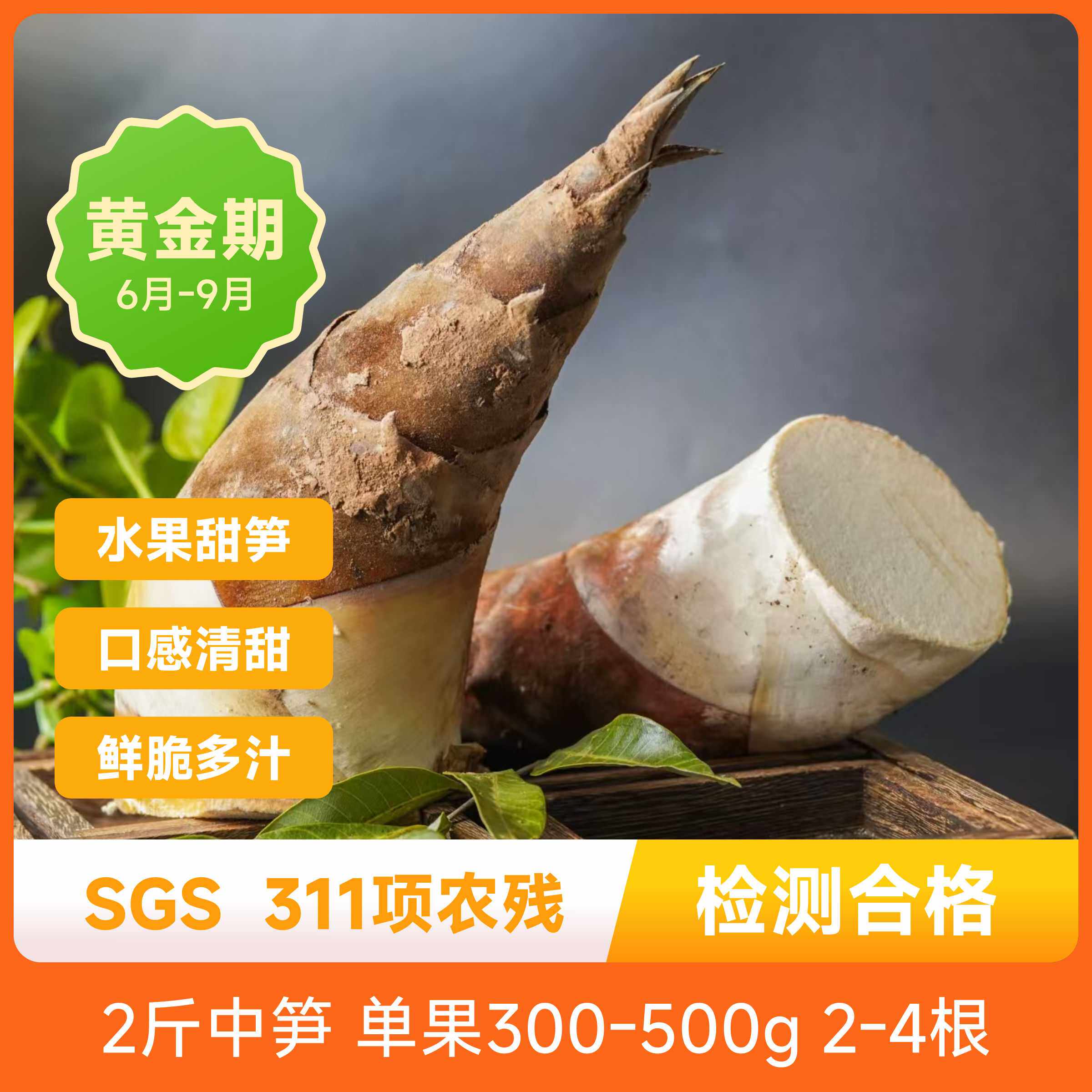 【880人已购买】辰颐物语严选云南普洱水果甜龙笋中笋现挖现发鲜 - 实物图