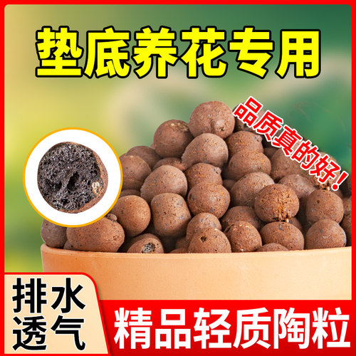 陶粒垫底多肉铺面养花专用