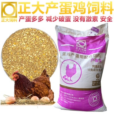 Zhengda укладывает куриное кормление яйца, укладывающее курицу с полной ценой яйцо, лежащая курица, лежащая курица, лежащая курица, лежая курица, лежа курица, среднечатая большая курица Ешьте 100 джин без кукурузы.