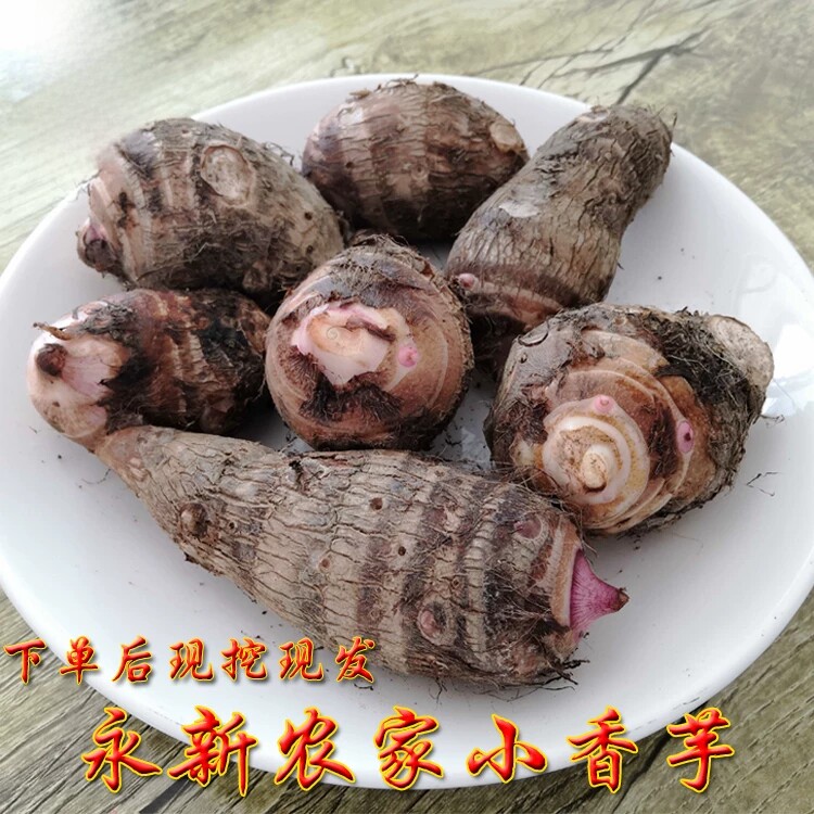 【芋里仔】江西特产永新芋头新鲜牛奶小香芋头仔软糯芋艿农家蔬菜