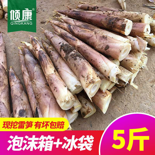 雷笋新鲜冬笋竹笋雷竹