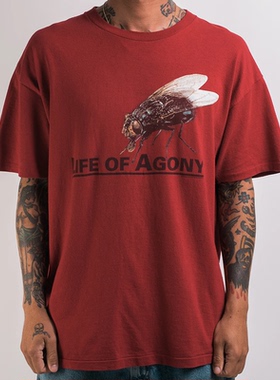 Life of Agony痛苦的生活乐队硬摇滚美式蝉知了红色直喷男女T恤