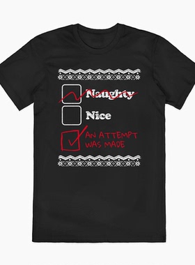 NAUGHTY NICE AN ATTEMPT WAS MADE淘气尼斯尝试了一次 短袖T恤