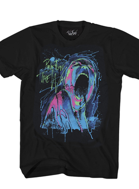 The Wall Blacklight平克弗洛伊德迷幻摇滚恶魔骷髅直喷短袖T恤