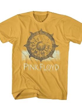 2025 平克弗洛伊德乐队Roger Waters摇滚复古平克美式宽松短袖T恤