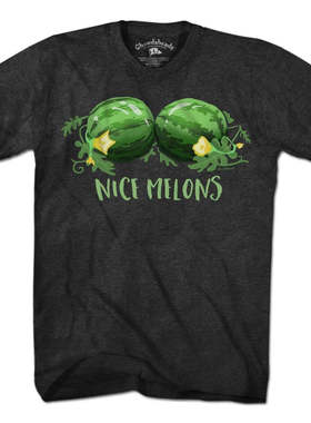 Nice Melons甜瓜不错美式复古经典印花简约夏季男女款宽松短袖T恤