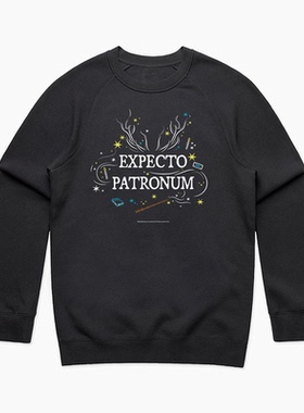 EXPECTO PATRONUM呼神护卫 美式古着高街vintage新款宽松圆领卫衣