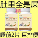 屁臭屁多胀气益生菌消化不良便秘鸡内金人参 排便轻松