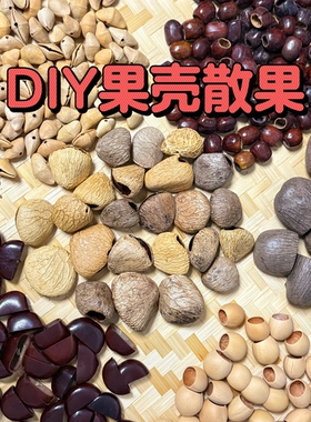 天然果壳salin果壳水铃桐果壳进口果壳DIY风铃果壳打孔植物果壳